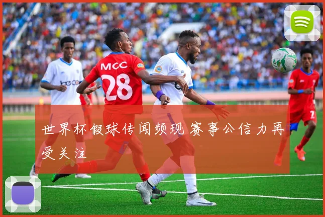 世界杯假球传闻频现 赛事公信力再受关注