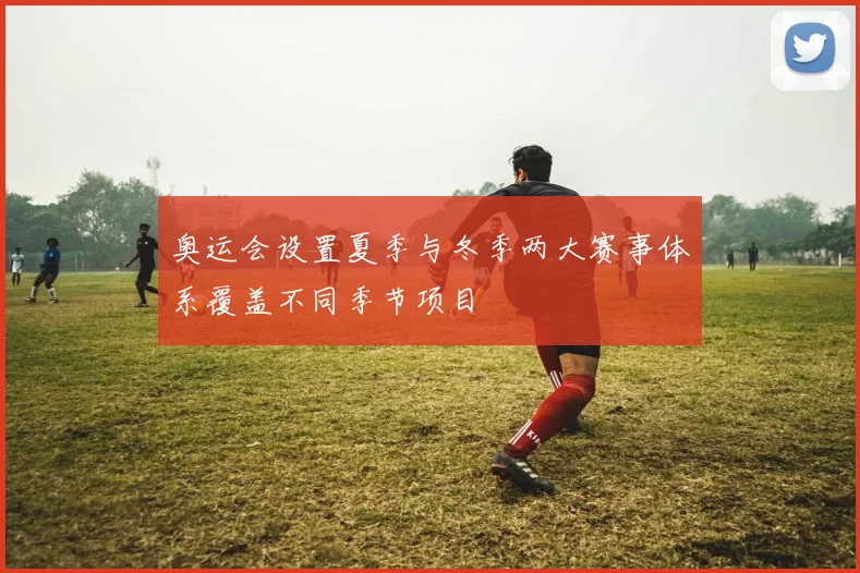 奥运会设置夏季与冬季两大赛事体系覆盖不同季节项目