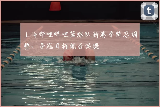 上海哔哩哔哩篮球队新赛季阵容调整,争冠目标能否实现
