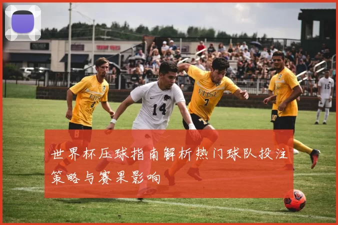 世界杯压球指南解析热门球队投注策略与赛果影响