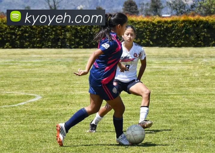 米兰官网入口服务体系